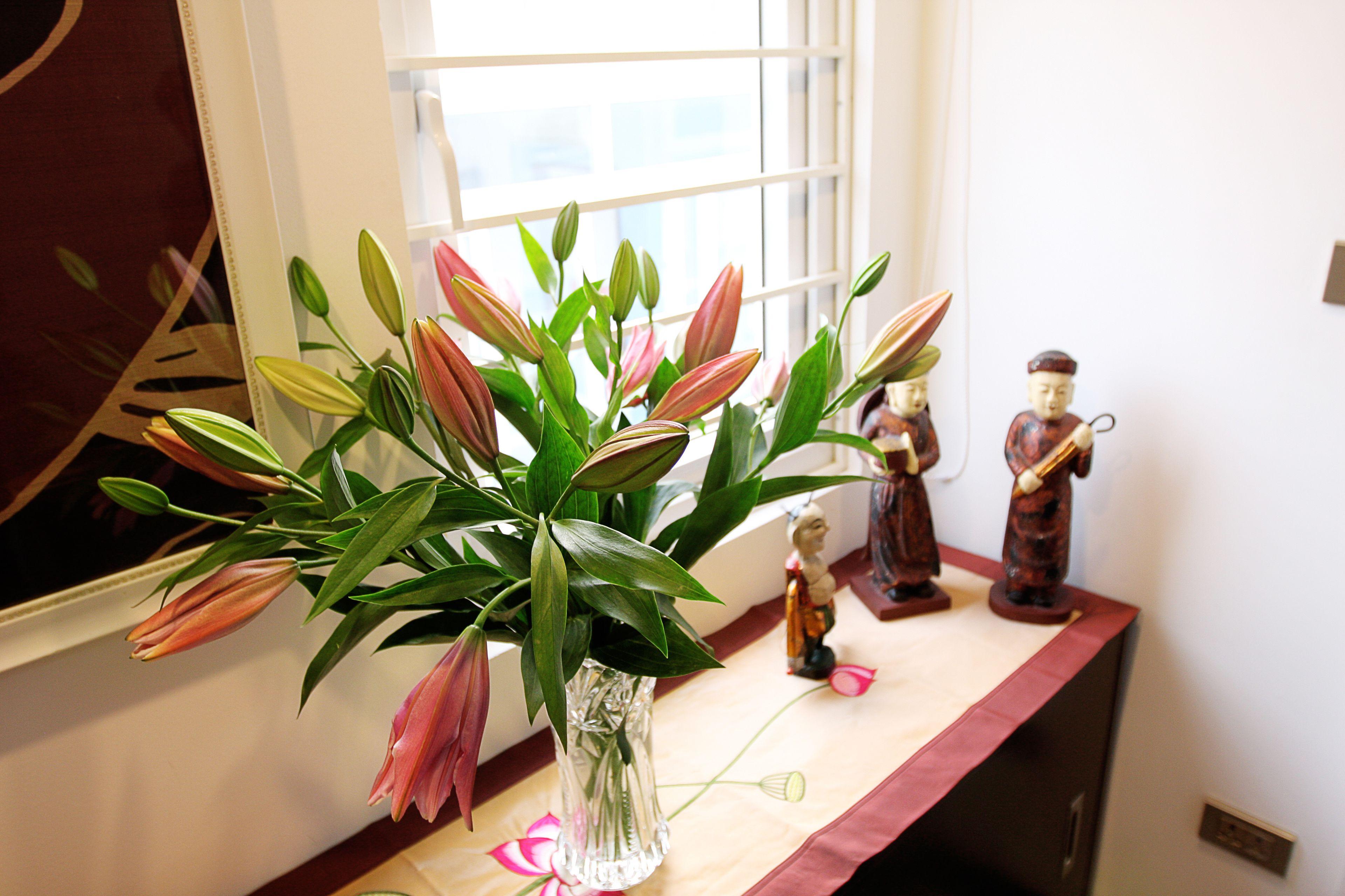 Hanoi Tomodachi House — Photos 3